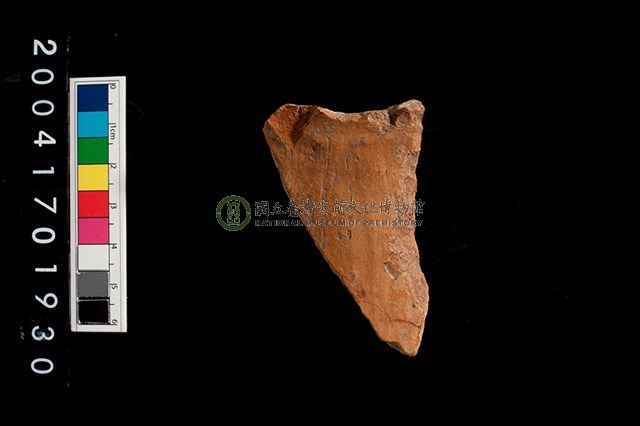 彩陶-腹片-帶紋