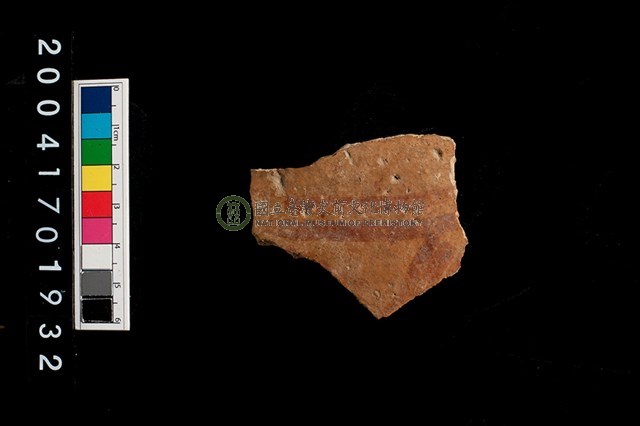 彩陶-腹片-帶紋