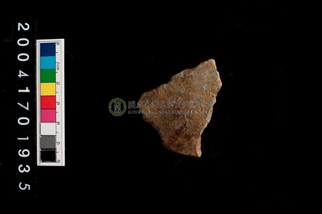 彩陶-腹片-帶紋