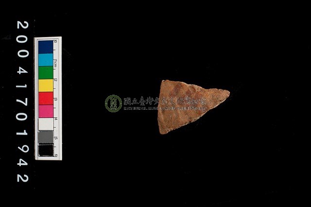 彩陶-腹片-帶紋