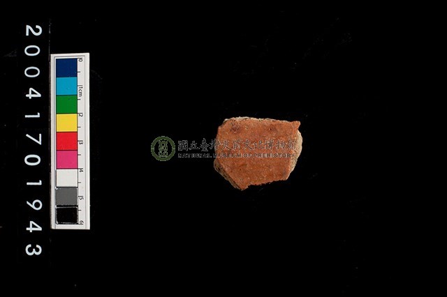 彩陶-腹片-帶紋