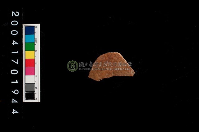 彩陶-腹片-帶紋