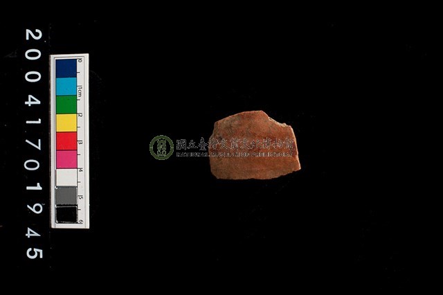 彩陶-腹片-帶紋