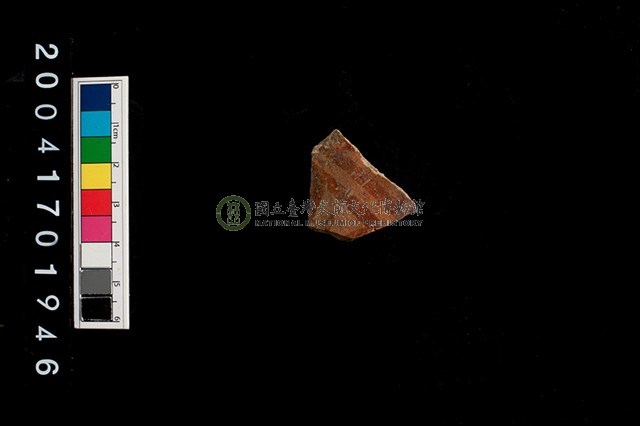 彩陶-腹片-帶紋