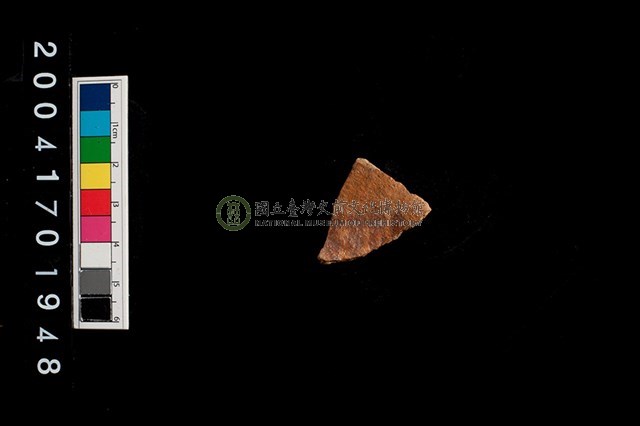 彩陶-腹片-帶紋