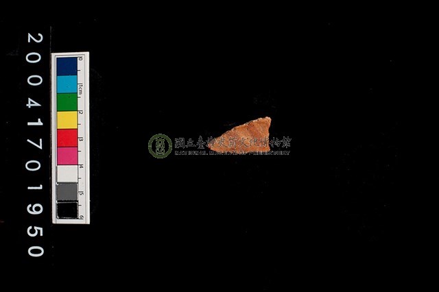 彩陶-腹片-帶紋