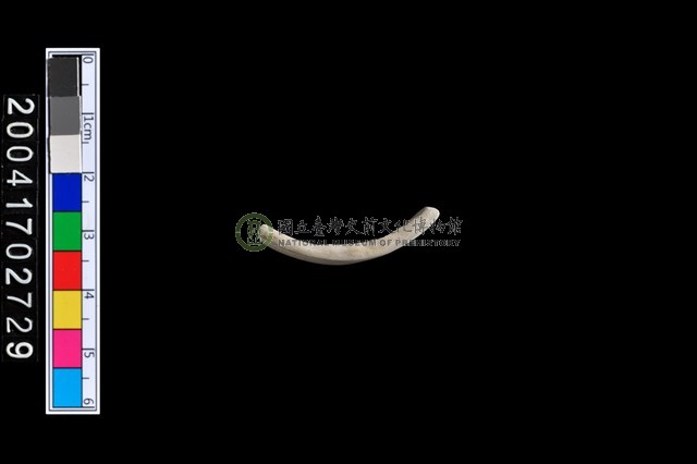 陶環