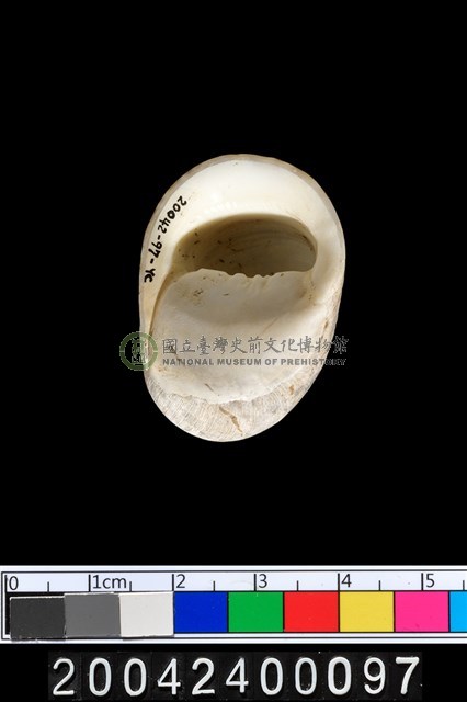 蜑螺?