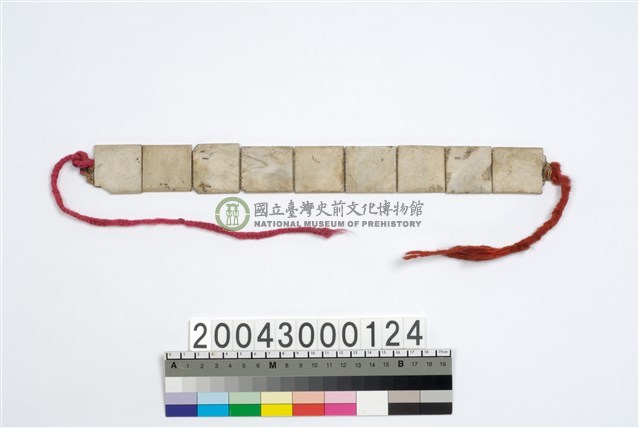 貝片頸飾