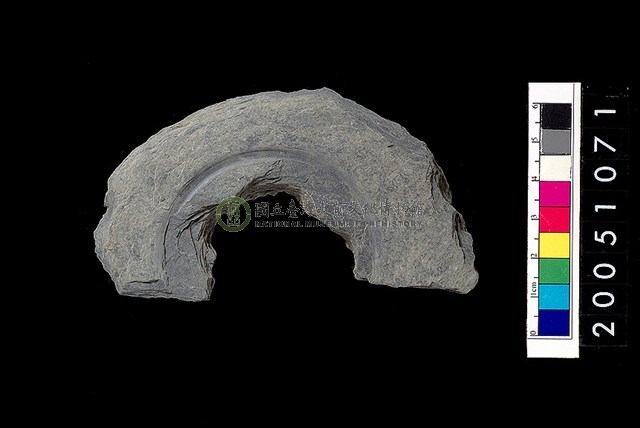 石環製作材料－中央帶啄孔與旋截痕打剝圓板