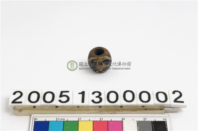 爪哇鳥珠