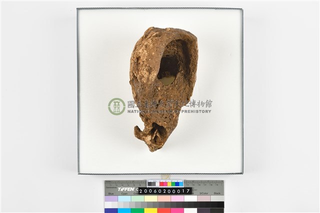 成年男性頭骨殘件