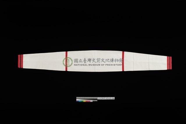 女子套袖