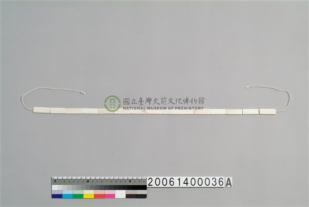 貝片綁帶