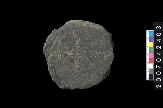 石環製作材料-打製圓形石板