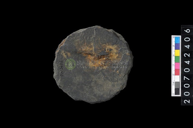 石環製作材料-打製圓形石板