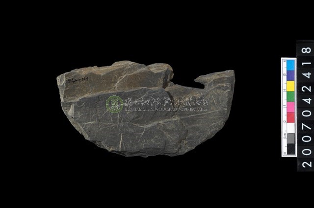 石環製作材料-打製圓形石板