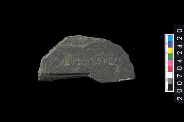 石環製作材料-打製圓形石板