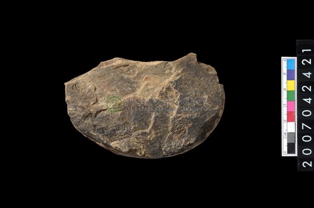 石環製作材料-打製圓形石板