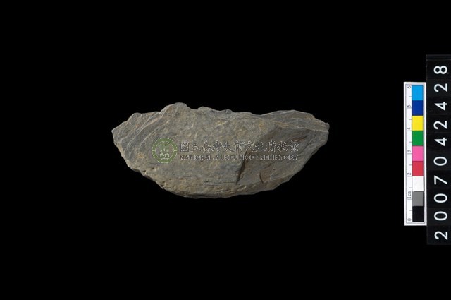 石環製作材料-打製圓形石板