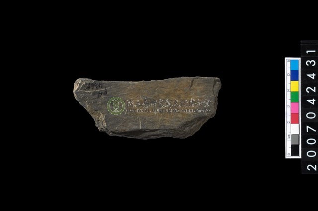 石環製作材料-打製圓形石板