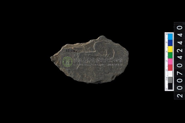 石環製作材料-打製圓形石板