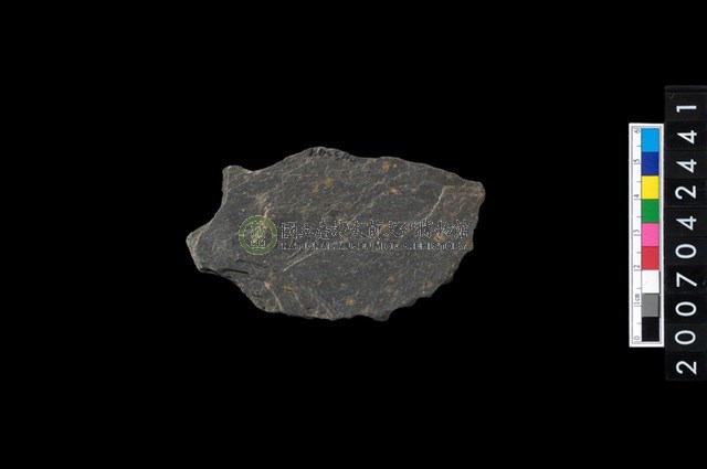 石環製作材料-打製圓形石板