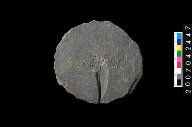 石環製作材料-打製圓形石板