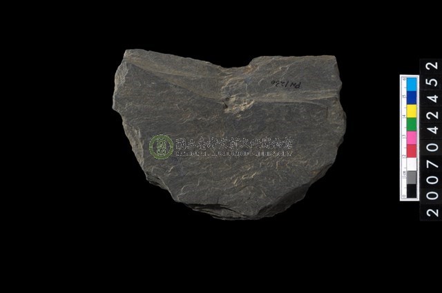 石環製作材料-中央帶啄痕打製圓板