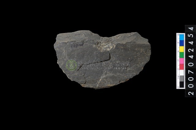 石環製作材料-中央帶啄痕打製圓板