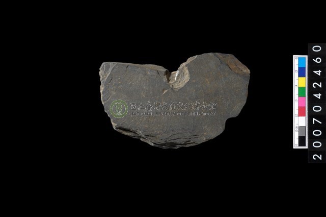 石環製作材料-中央帶啄痕打製圓板