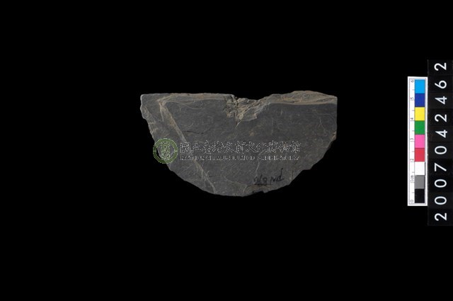 石環製作材料-中央帶啄痕打製圓板