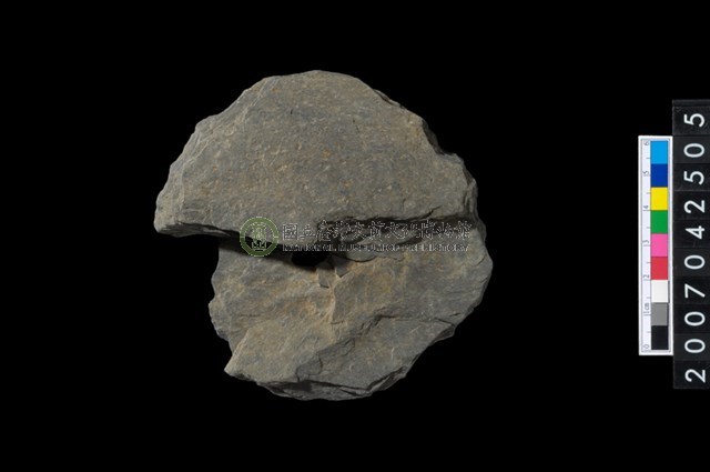 石環製作材料－中央帶小啄孔打製圓板