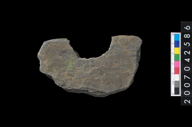 石環製作材料-中央帶啄孔打製圓板殘件