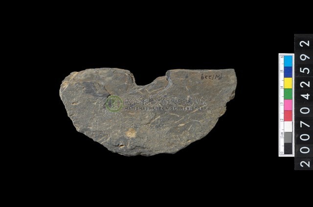 石環製作材料－中央帶小啄孔打製圓板殘件