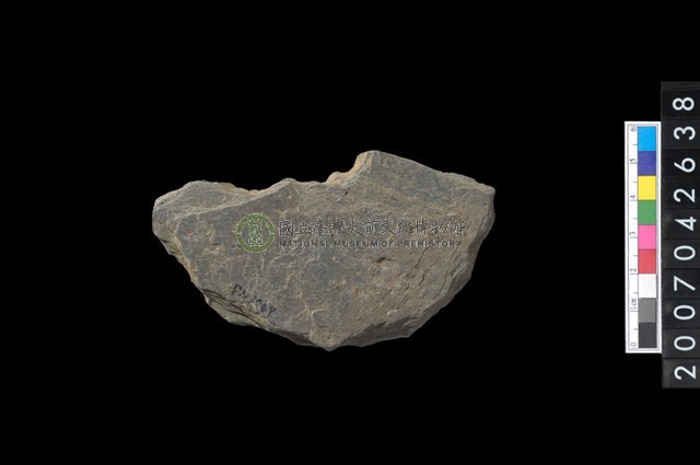 石環製作材料－中央帶小啄孔打製圓板殘件