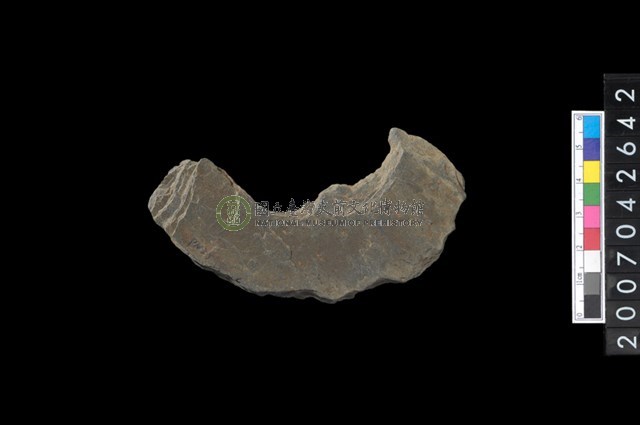 石環製作材料－中央帶小啄孔打製圓板