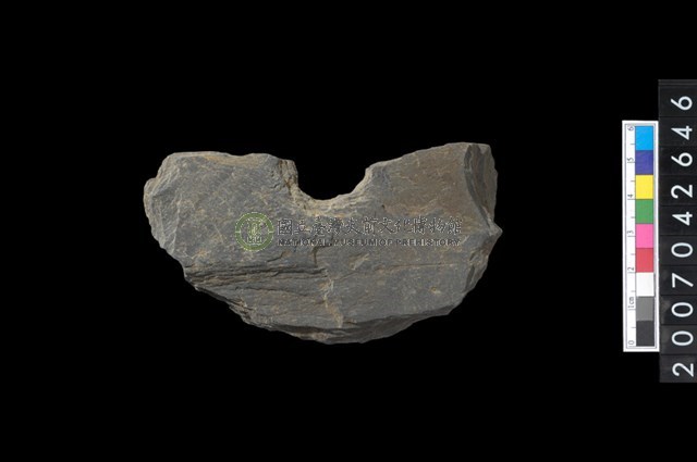 石環製作材料－中央帶小啄孔打製圓板殘件