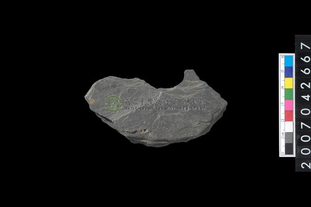 石環製作材料-中央帶啄孔打製圓板殘件