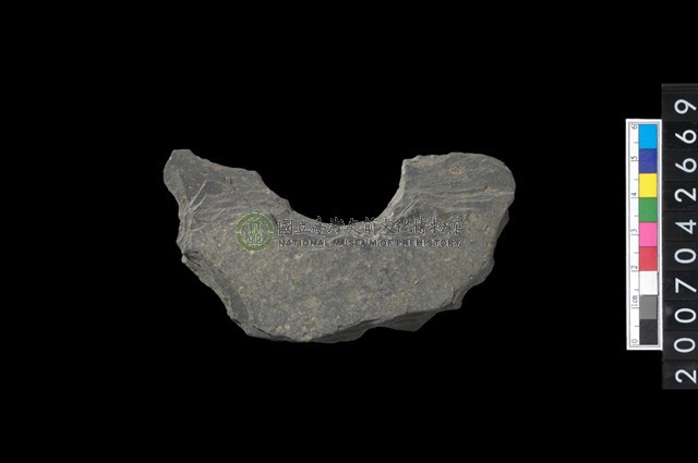 石環製作材料-中央帶啄孔打製圓板殘件