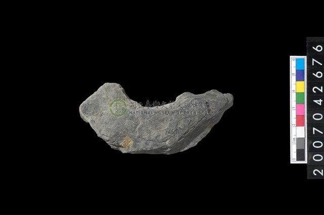 石環製作材料-中央帶啄孔打製圓板殘件