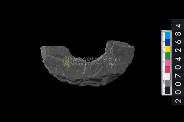 石環製作材料-中央帶啄孔打製圓板殘件