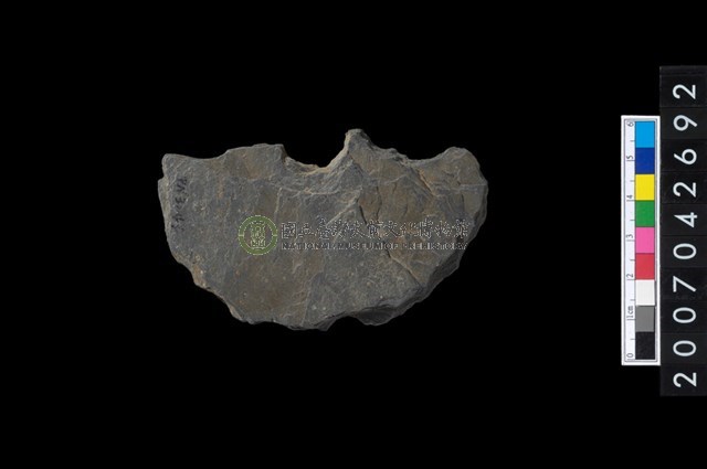 石環製作材料－中央帶小啄孔打製圓板殘件