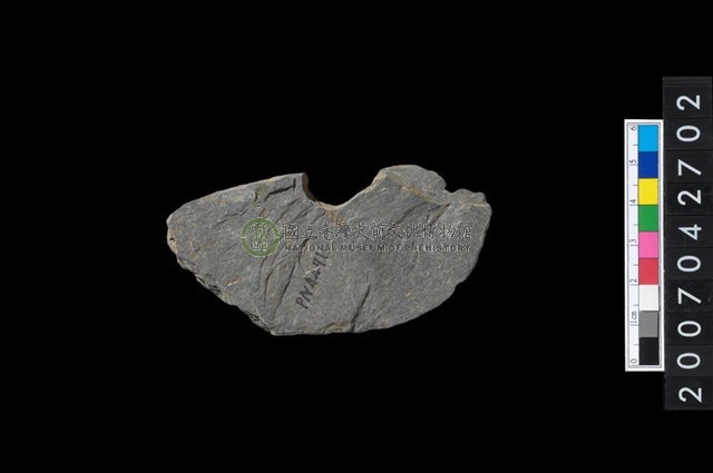 石環製作材料-中央帶小啄孔打製圓板殘件