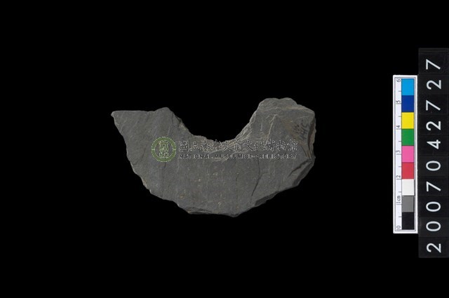 石環製作材料-中央帶啄孔打製圓板殘件