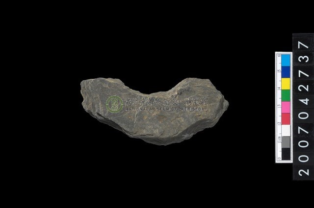 石環製作材料-中央帶啄孔打製圓板殘件