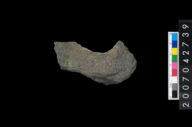 石環製作材料－中央帶啄孔打製圓板殘件