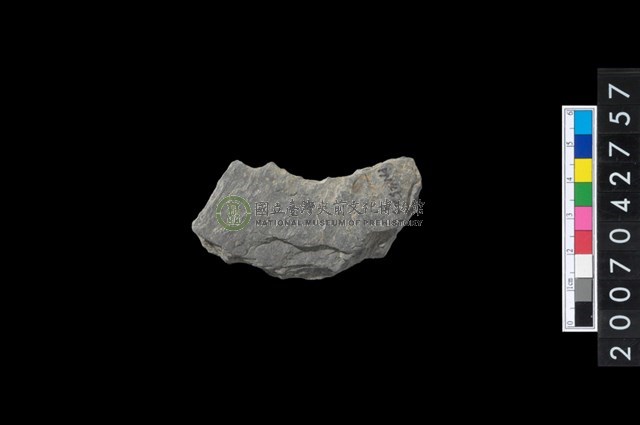 石環製作材料－中央帶啄孔打製圓板殘件