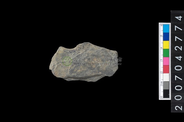 石環製作材料－中央帶啄孔打製圓板殘件