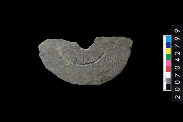 石環製作材料-中央帶啄孔與旋截痕打製圓板殘件